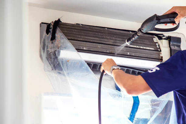 Best Mold and Mildew Removal from Ducts in Coalville, UT